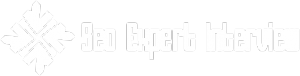 SEO Expert Interview